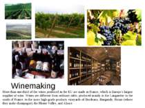 Winemaking More than one-third of the wines produced in the EU are made in Fr...