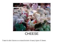 CHEESE France is also famous as a manufacturer of many types of cheese.