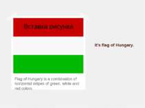 It’s flag of Hungary. Flag of Hungary is a combination of horizontal stripes ...