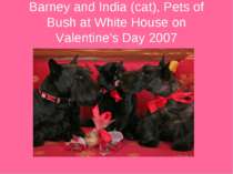 Barney and India (cat), Pets of Bush at White House on Valentine's Day 2007