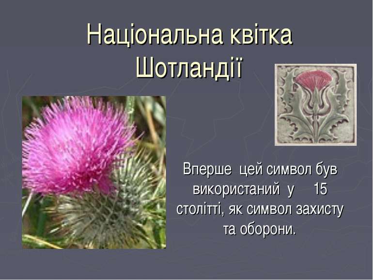 Національна квітка Шотландії Вперше цей символ був використаний у 15 столітті...