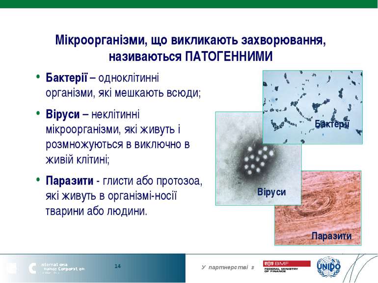 Мікроорганізми, що викликають захворювання, називаються ПАТОГЕННИМИ Бактерії ...