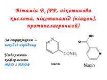 Вітамін В5 (РР, нікотинова кислота, нікотинамід (ніацин), протипелагричний) З...