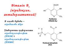 Вітамін В6 (піридоксин, антидерматитний) В основі будови – піридинове ядро Ут...