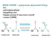 ПАЛФ і ПАМФ – коферменти ферментів обміну АК: -амінотрансфераз -декарбоксилаз...