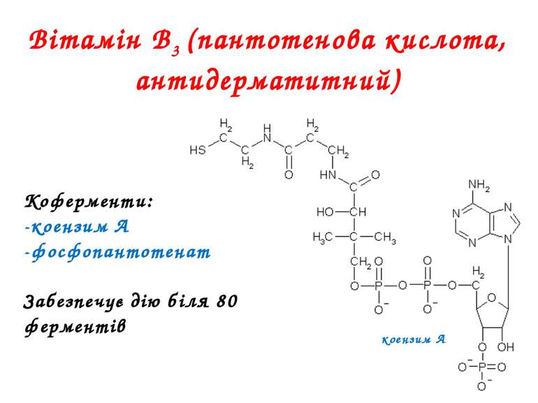 Вітамін В3 (пантотенова кислота, антидерматитний) Коферменти: -коензим А -фос...