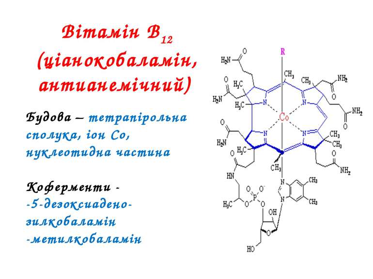 Вітамін В12 (ціанокобаламін, антианемічний) Будова – тетрапірольна сполука, і...