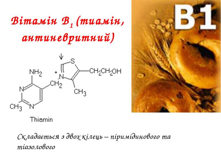 Вітамін В1 (тиамін, антиневритний) Складається з двох кілець – піримідинового...