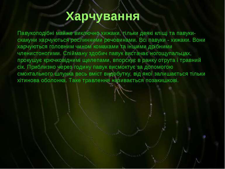 Павукоподібні майже виключно хижаки, тільки деякі кліщі та павуки-скакуни хар...