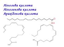 Лінолева кислота Ліноленова кислота Арахідонова кислота