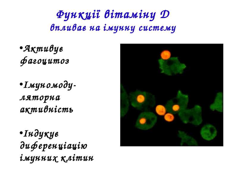 Активує фагоцитоз Імуномоду-ляторна активність Індукує диференціацію імунних ...
