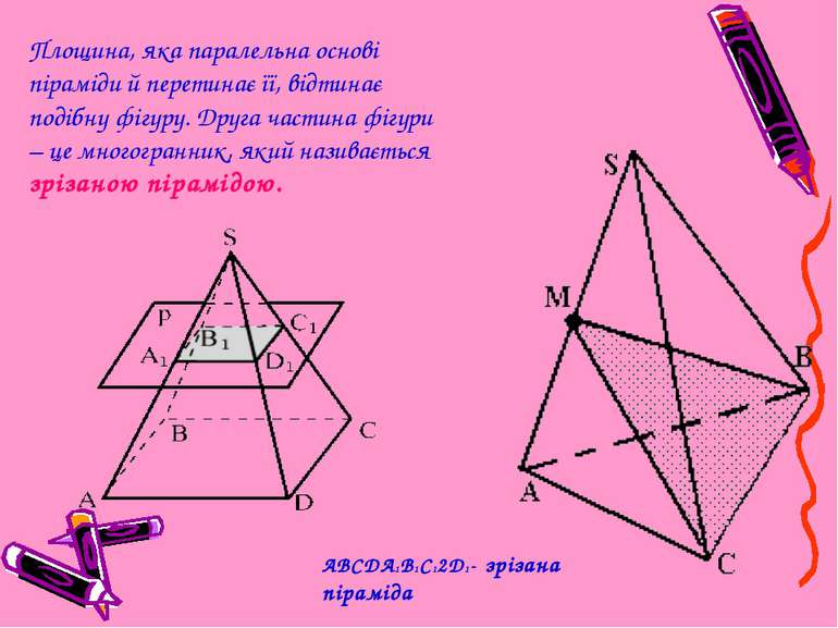 Перерізи піраміди Площина, яка паралельна основі піраміди й перетинає її, від...