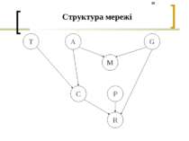 Структура мережі