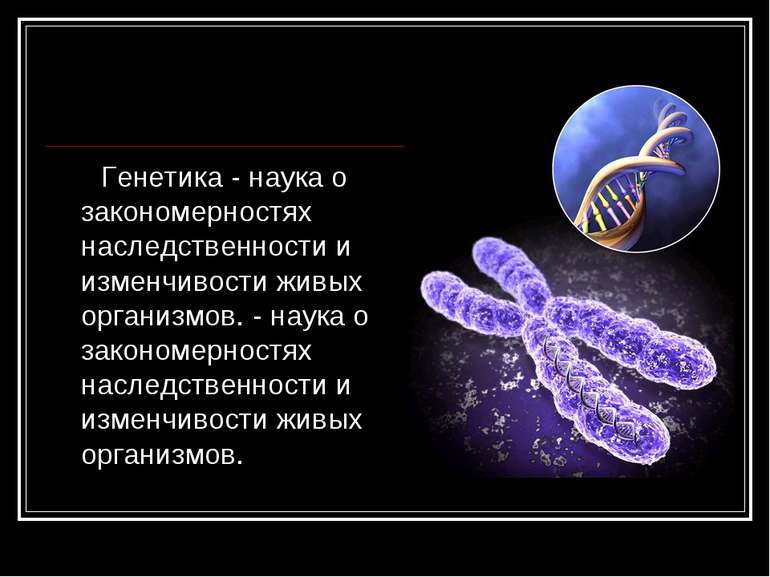 Генетика - наука о закономерностях наследственности и изменчивости живых орга...