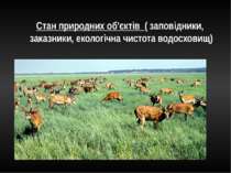 Стан природних об'єктів ( заповідники, заказники, екологічна чистота водосховищ)