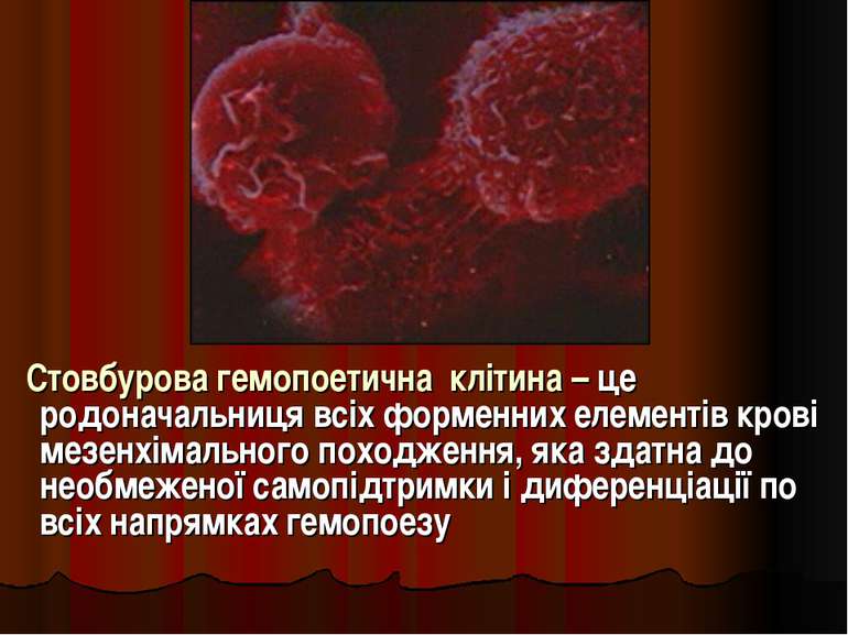 Стовбурова гемопоетична клітина – це родоначальниця всіх форменних елементів ...