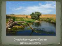 * Сучасний вигляд річки Кальчик (Донецька область)