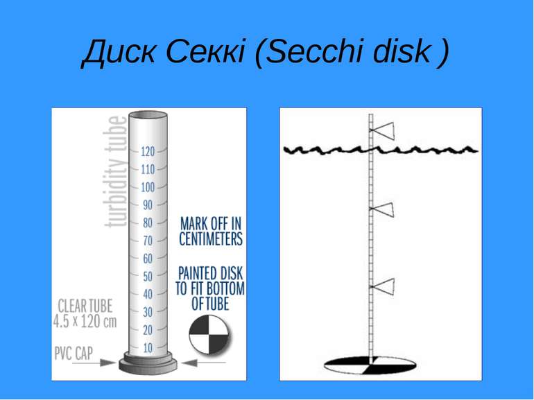 Диск Секкі (Secchi disk )