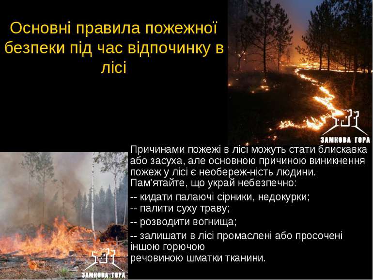 Основні правила пожежної безпеки під час відпочинку в лісі Причинами пожежі в...