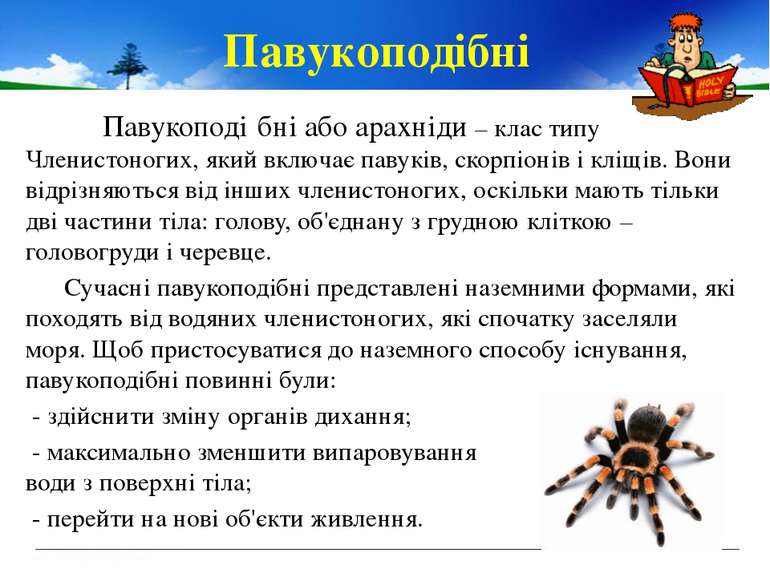 Павукоподі бні або арахніди – клас типу Членистоногих, який включає павуків, ...