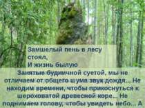 Живой лес