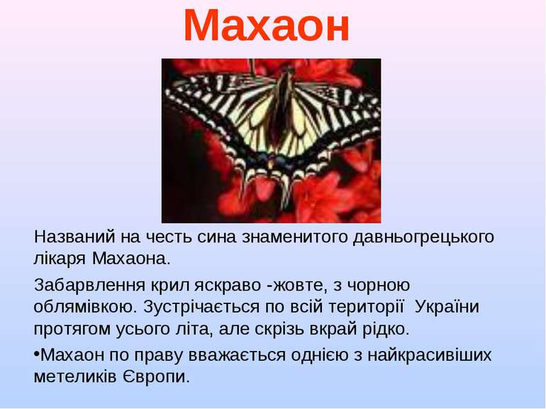 Махаон Названий на честь сина знаменитого давньогрецького лікаря Махаона. Заб...