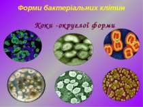 Коки -округлої форми Форми бактеріальних клітин