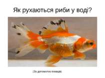 Як рухаються риби у воді? (За допомогою плавців)