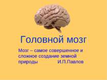 Головний мозг