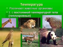 Температура Различают животные организмы: 1. с постоянной температурой тела (...