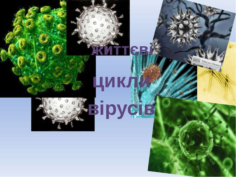 життєві цикли вірусів