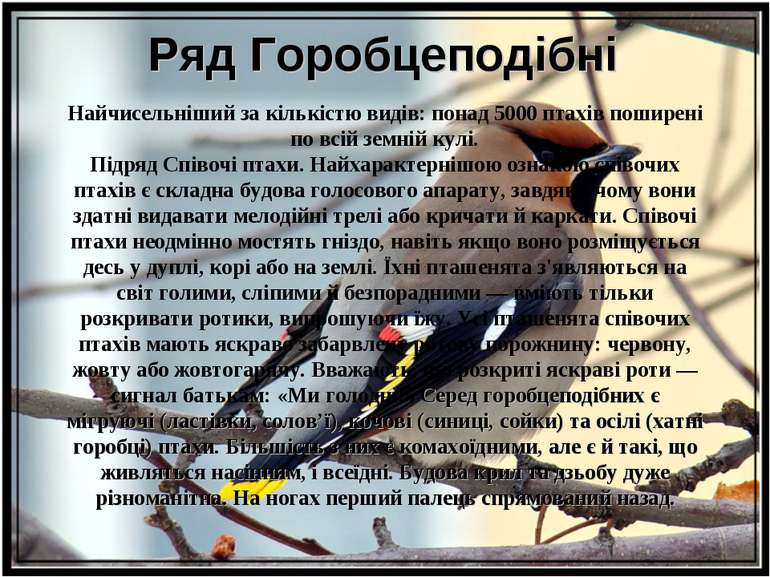 Ряд Горобцеподібні Найчисельніший за кількістю видів: понад 5000 птахів пошир...