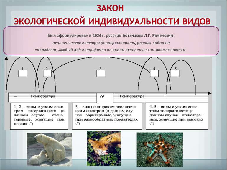 был сформулирован в 1924 г. русским ботаником Л.Г. Раменским: экологические с...