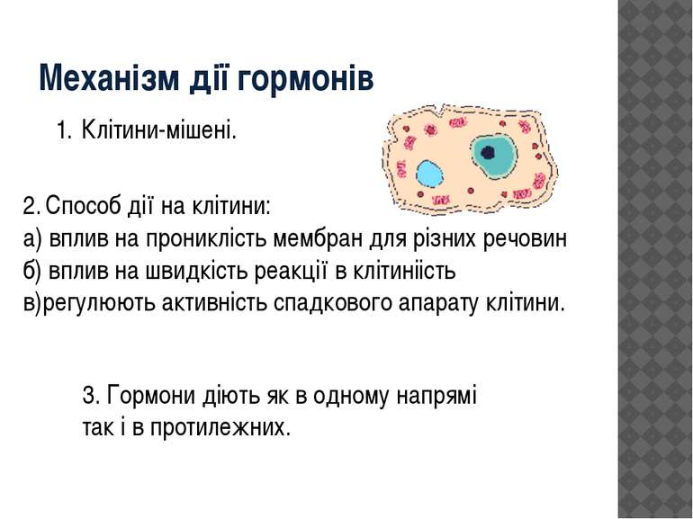 Механізм дії гормонів Клітини-мішені. 2. Способ дії на клітини: а) вплив на п...