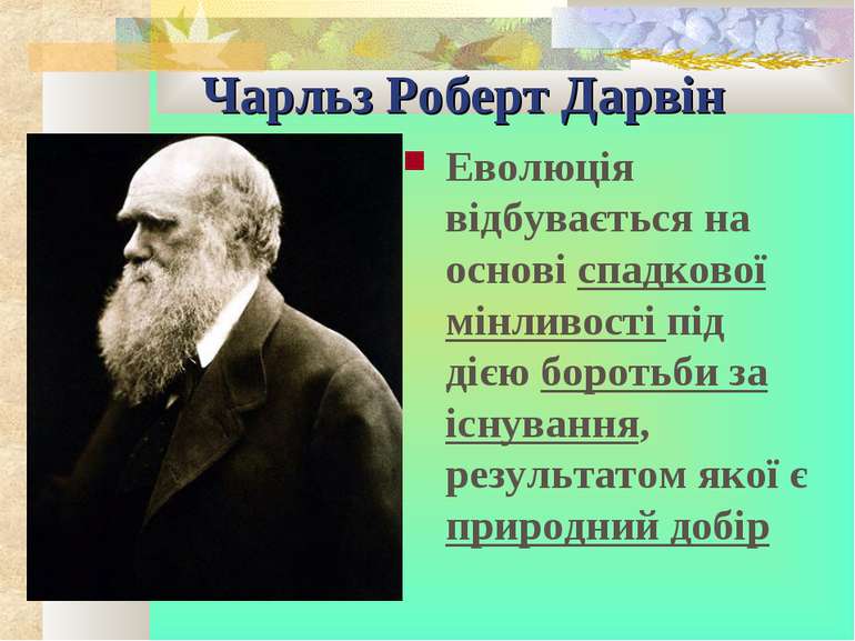 Чарльз Роберт Дарвін Еволюція відбувається на основі спадкової мінливості під...