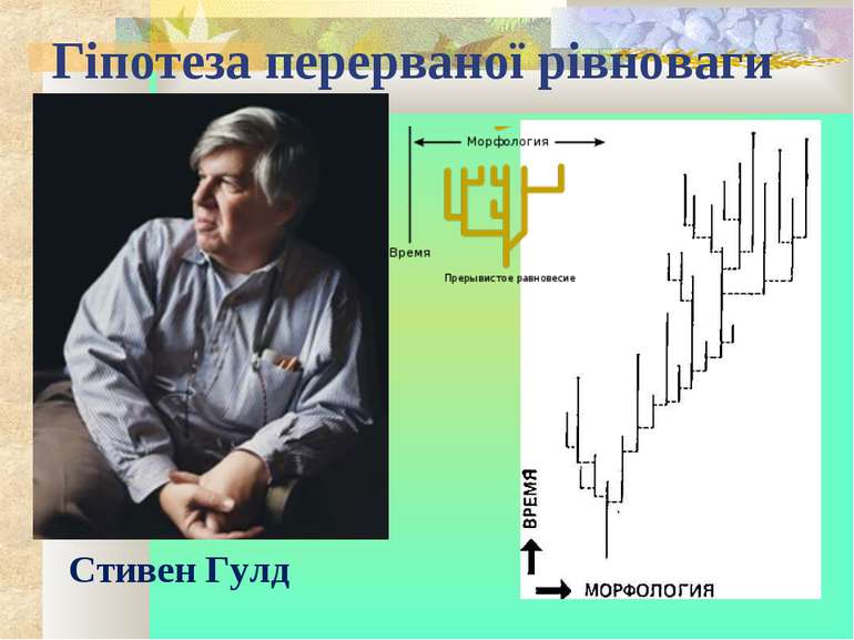 Гіпотеза перерваної рівноваги Стивен Гулд