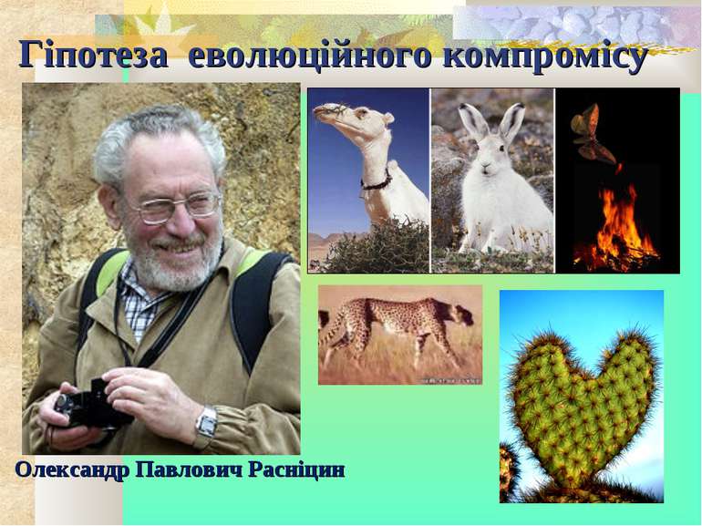 Гіпотеза еволюційного компромісу Олександр Павлович Расніцин