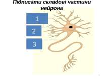 Підписати складові частини нейрона * 1 2 3