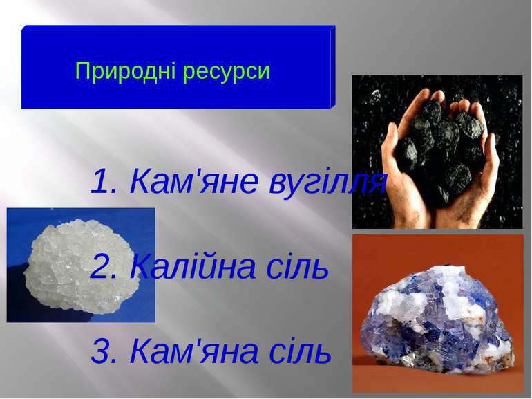 Природні ресурси 1. Кам'яне вугілля 2. Калійна сіль 3. Кам'яна сіль