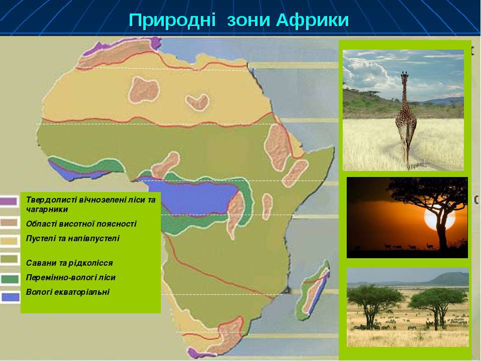 5 природных зон африки. Назви природних зон Африки. Прибрежные зоны Африки. Клімат савани і рідколісся. Географічне положення перемінно вологі ліси в Африці.