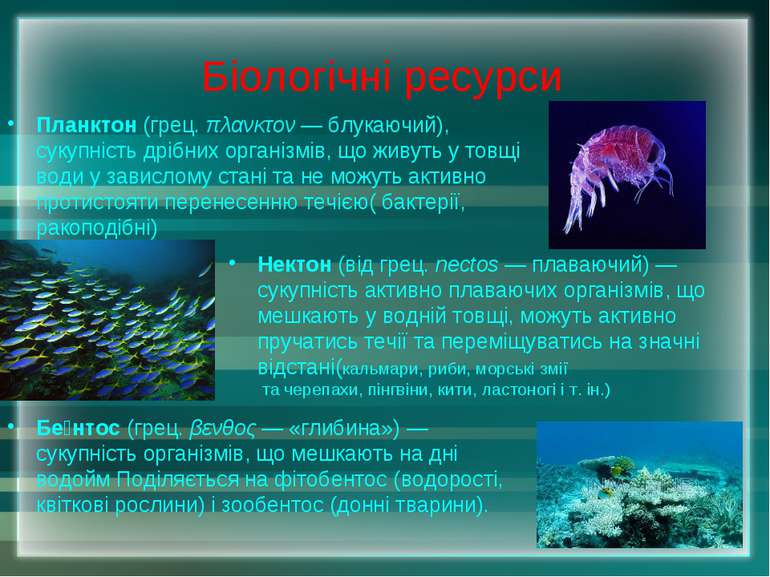 Біологічні ресурси Бе нтос (грец. βενθος — «глибина») — сукупність організмів...