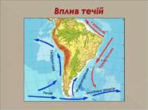 Бразильська Гвіанська Перуанська Західних вітрів Течія Фолклендська