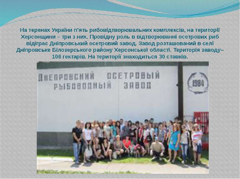 На теренах України п’ять рибовідтворювальних комплексів, на території Херсонщ...