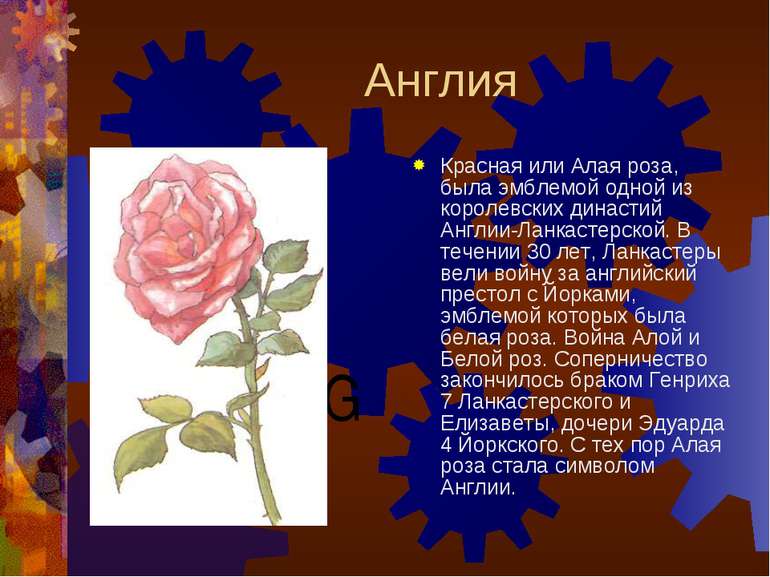 Англия Красная или Алая роза, была эмблемой одной из королевских династий Анг...