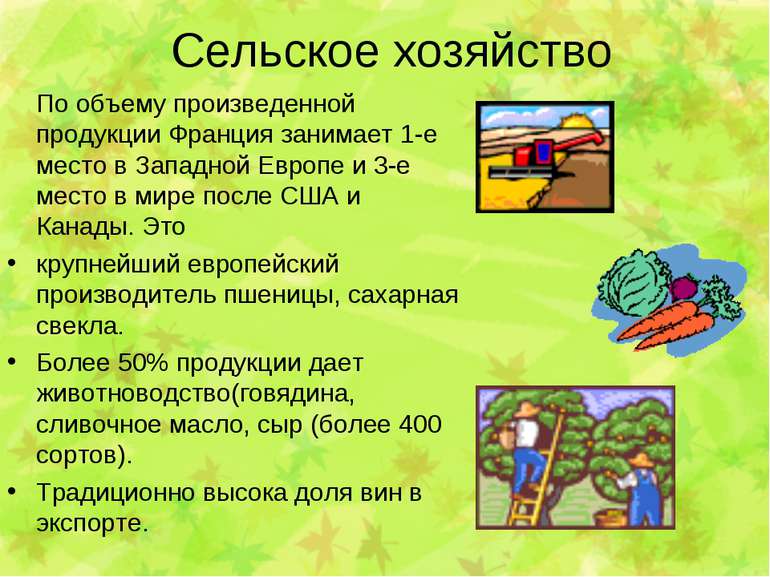 Сельское хозяйство По объему произведенной продукции Франция занимает 1-е мес...