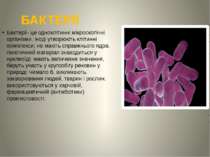 БАКТЕРІЇ Бактерії- це одноклітинні мікроскопічні організми, іноді утворюють к...