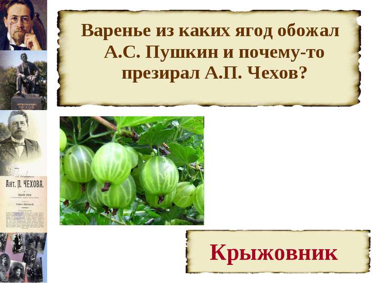 Варенье из каких ягод обожал А.С. Пушкин и почему-то презирал А.П. Чехов?