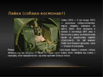 Лайка (собака-космонавт) Лайка (1954 — 3 листопада 1957) — радянська собака-к...