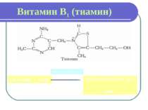 Витамин В1 (тиамин) ТИАМИН + АТФ ТИАМИНКИНАЗА ТИАМИНПИРОФОСФАТ + АМФ