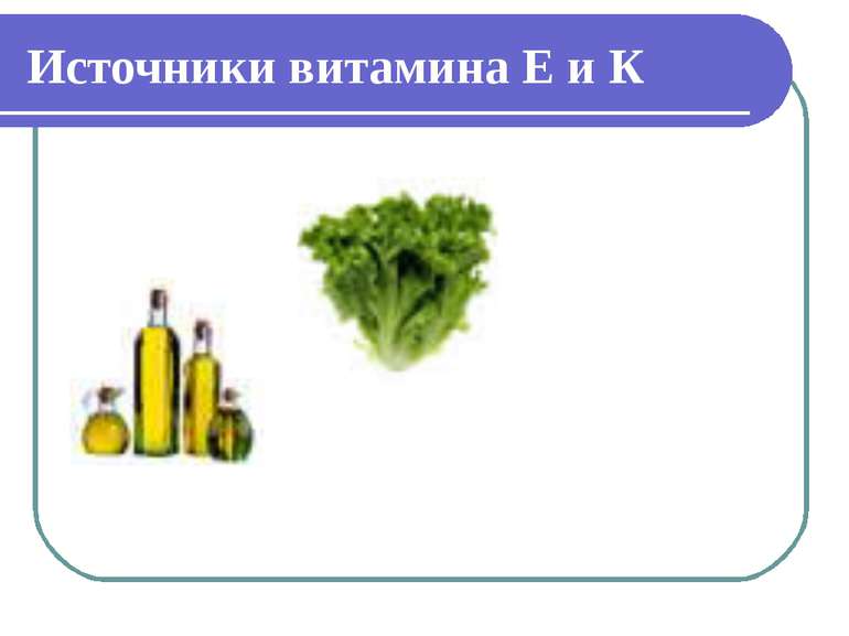 Источники витамина Е и К